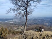 �J�Y����̍c��R�W�]��̓��e�ʐ^4