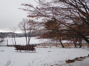 �}�C�a�n�n����̔����΂̓��e�ʐ^1