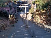 �q�}��������̖ؑ]�O�А_�Ђ̓��e�ʐ^2