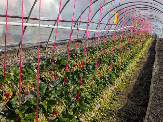 ���s���̂���n�E�X_�Ȃ�����