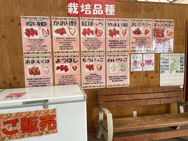 �͔|�i��_���l���������Z���^�[