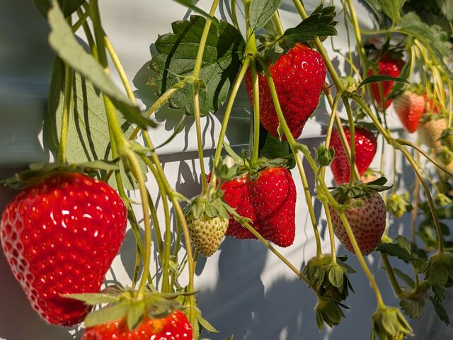 �Â����������������񂠂�܂����B_���ア������