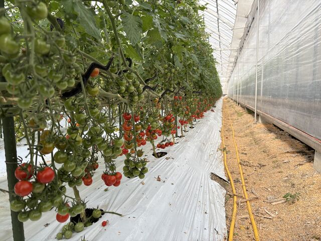 �g�}�g�I_�{���_��