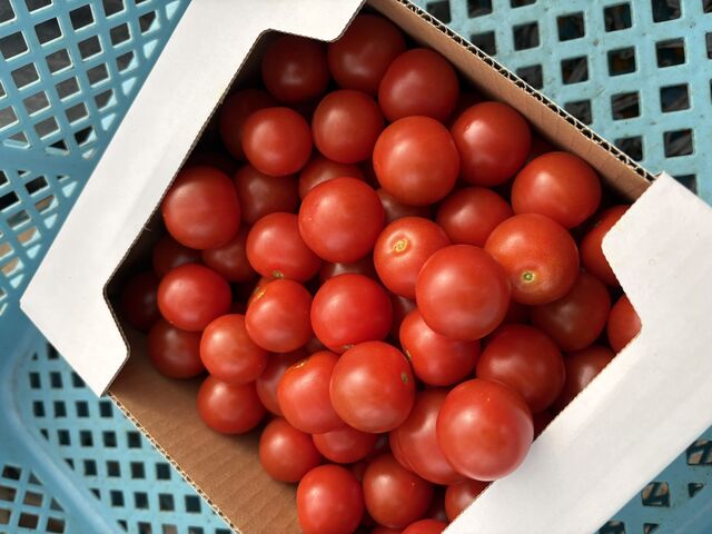 ����n�ՁI_�{���_��