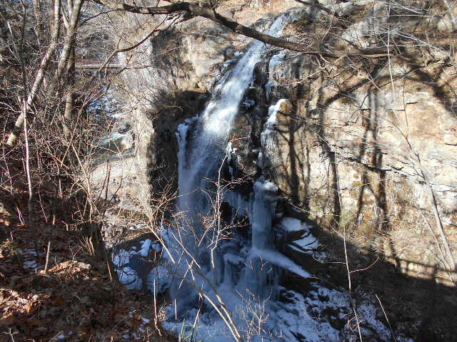 �����̑�