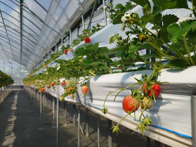 ������ŗ\�񂵂čs�����̂ŁA�����͍��ݍ����Ă��炸���K�ł���_�������_�� �����