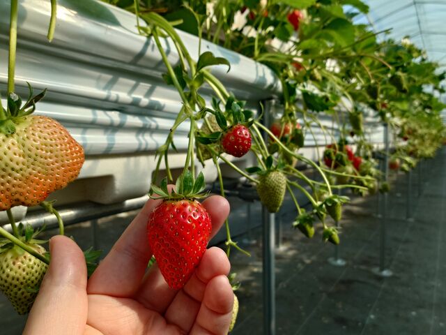 �嗱�̂����������������Ɏ����Ă��܂���_�������_�� �����