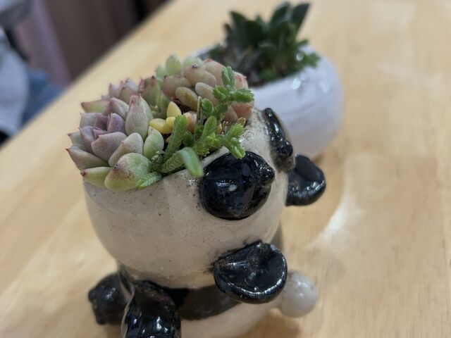 �񂹐A���̌��̎ʐ^�ł��B���ꕨ�̃p���_�̓p�p����̍�i�ł��̒��Ɏ����񂹐A�������܂����I_�Ó�C��