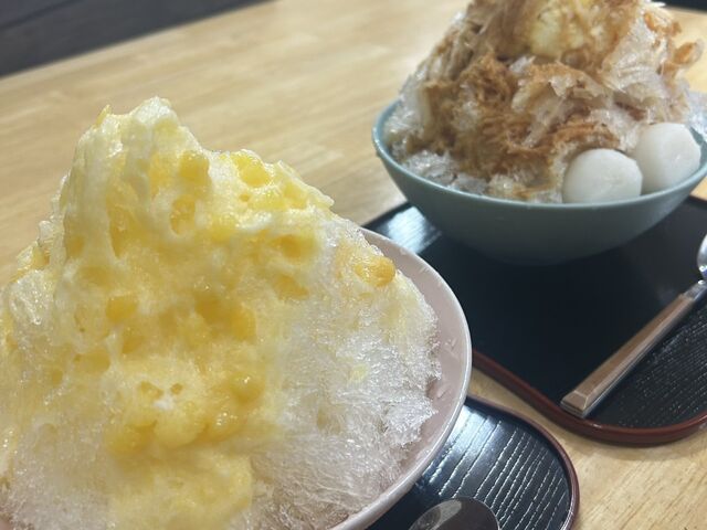 �������������X_�Ó�C��