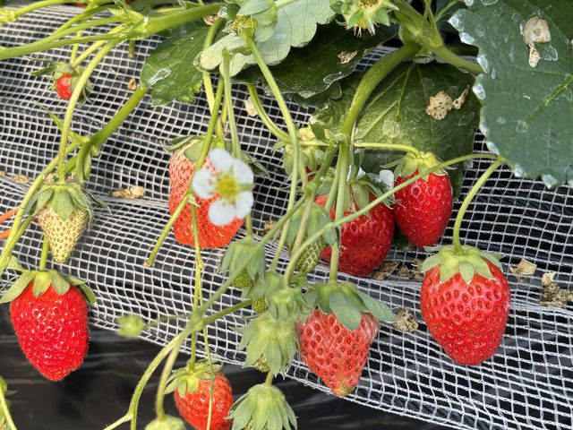 �����Ȃ��ł�����������_�Z��������