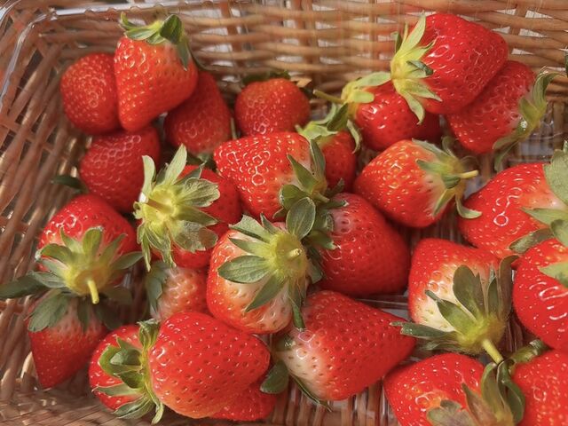 �Â��Ĕ������������ł��B_���΃x���[��������