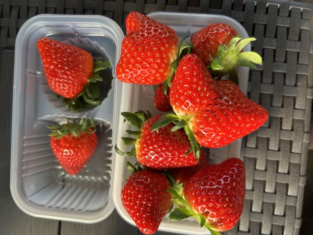 ������������������e�[�u���ŐH�ׂ�܂�_���΂���t�@�[��