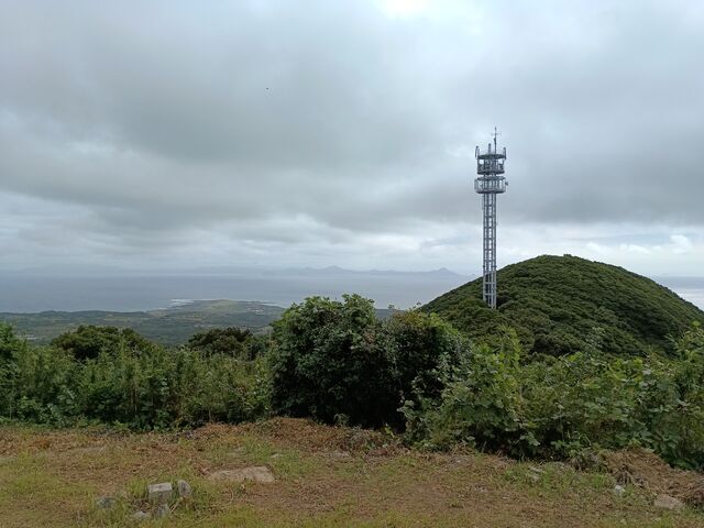 sokudumo����̏郖�x�W�]���̓��e�ʐ^4