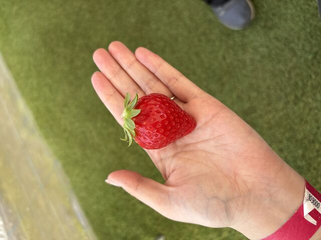 �Â��Ă�������_�₿�܂� ���R�t�@�[��