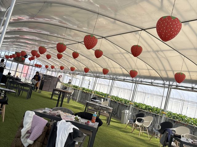 �x�e���I_�₿�܂� ���R�t�@�[��