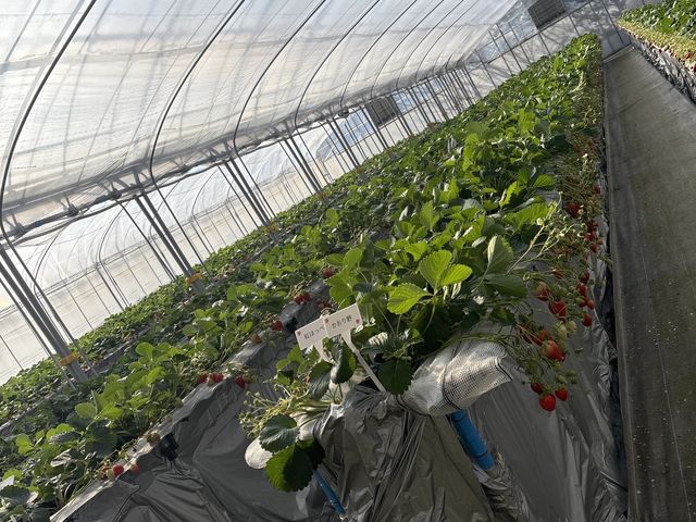 ������������������������I_�₿�܂� ���R�t�@�[��