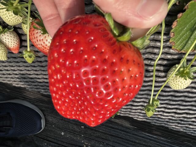 �Ƃ�������_�����_��