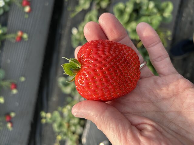 �Ƃ�������_�����_��