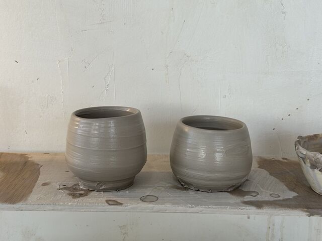 ���ۂ��Q�ł��܂���_���|�����C�I