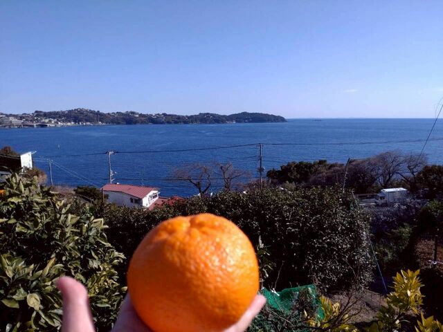 ��i�̒��A���Ђ��܂������ς����т��݂�����I_�}���t�N�K�[�f��