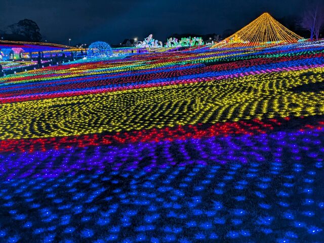 ���̂��Ԕ��ł��I_�����h�C�c��