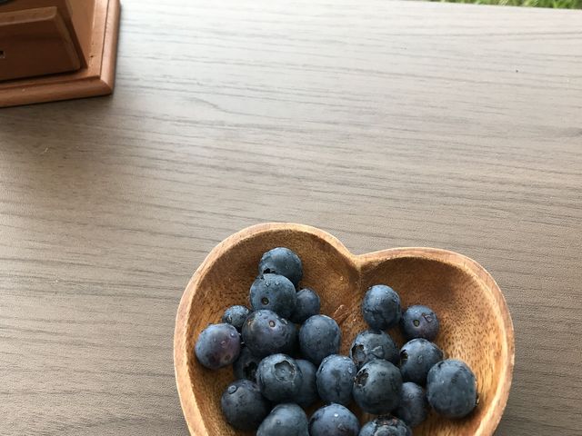 �Ö��Ǝ_���̃o�����X���ō��ł����B_����_�� �����