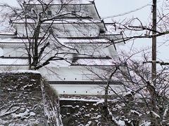 �Ȃق���̒߃���i�ᏼ��j�ւ̓��e�ʐ^1