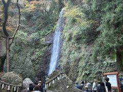 �{�V�����̎ʐ^1