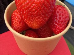 �T�W���n�X�t�@�[���@�x���[�K�[�f���̎ʐ^3