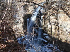 �����̑�̎ʐ^1