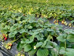 ���̉w�Ƃ݂�����f��y���̎ʐ^3