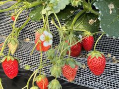 �Z���������̎ʐ^1