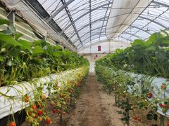 ����ό��_���̎ʐ^1