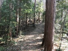 �z������ �����̓� ����h �j���[�T���s�A��ʂ������̎ʐ^3