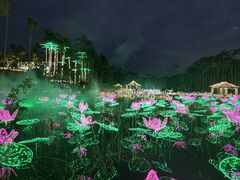 ����A���y���̎ʐ^1