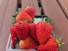 �A�N�A���}�� ���쉀�̎ʐ^2