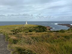 sokudumo����̑Δn���@����ւ̓��e�ʐ^1