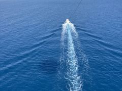 �u���[�X�^�C���̎ʐ^1