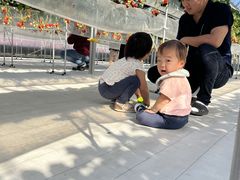 ����(�䂢)�t�@�[���̎ʐ^1