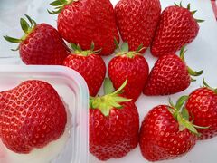 �C�ӂ̂��������̎ʐ^2