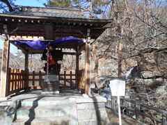 ������ ���R�����H�̎ʐ^1