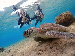 �{��blue�܂ق�΂̎ʐ^2