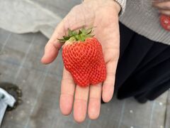 ����_���̎ʐ^2