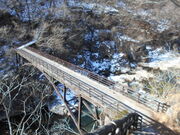 �g�V���[����̓������̓��e�ʐ^1