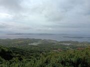 sokudumo����̏郖�x�W�]���̓��e�ʐ^1