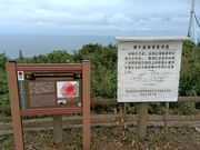 sokudumo����̏郖�x�W�]���̓��e�ʐ^3