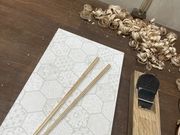 ����������̔����̓��e�ʐ^1