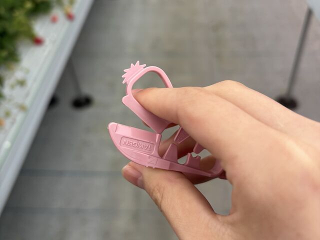 ���S�͂���_�Ƃ悭�ɂӂ��[�ފό��_��