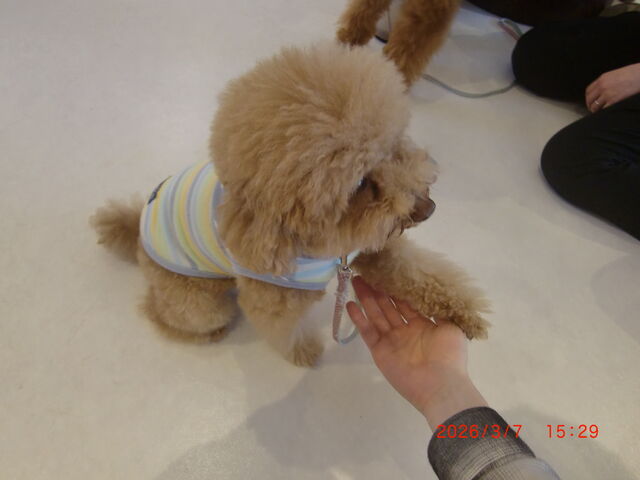 �Ŕ��́u�炢���v���񂪂�������Ă���܂����B_���J�t�F�炢��