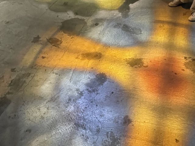 �X�e���h�O���X���f���������f�G������_NAKED meets �K�E�f�B�W